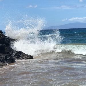 Meet your Posher, Todd